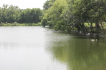 Woodbridge - Creek Crossing & Sachse Rd Pond 3